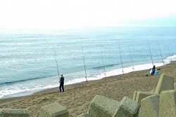 砂浜釣り